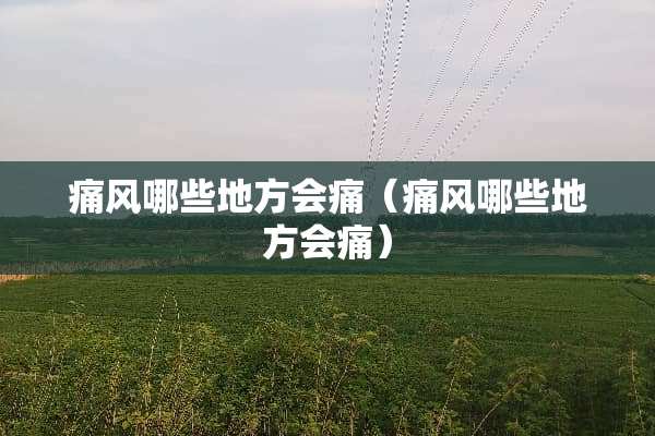 痛风哪些地方会痛（痛风哪些地方会痛）