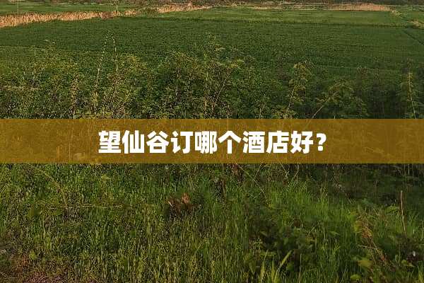 望仙谷订哪个酒店好？