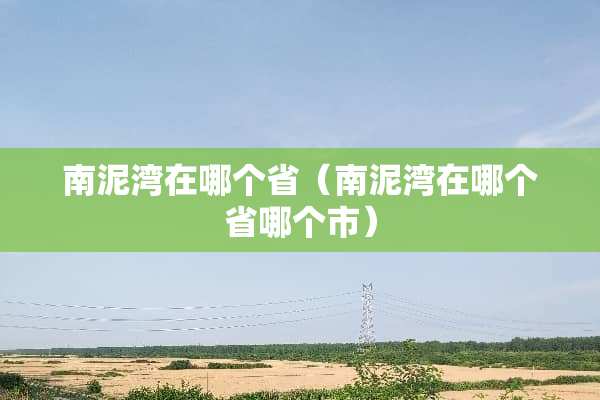 南泥湾在哪个省（南泥湾在哪个省哪个市）