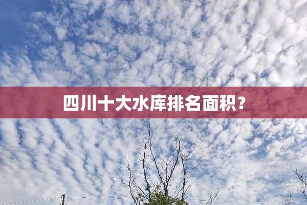 四川十大水库排名面积？