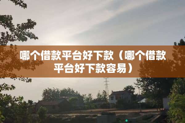 哪个借款平台好下款（哪个借款平台好下款容易）