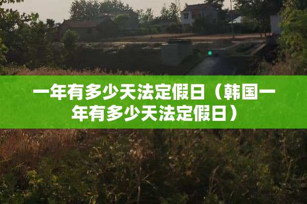 一年有多少天法定假日（韩国一年有多少天法定假日）