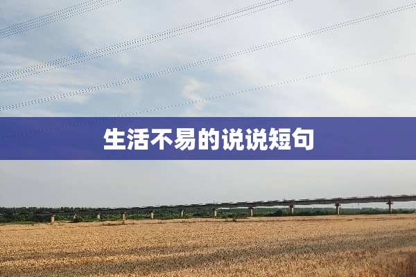 生活不易的说说短句