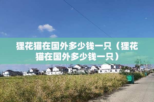 狸花猫在国外多少钱一只（狸花猫在国外多少钱一只）