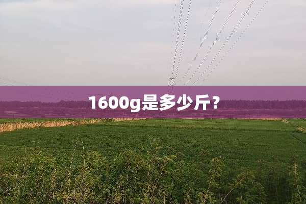 1600g是多少斤？