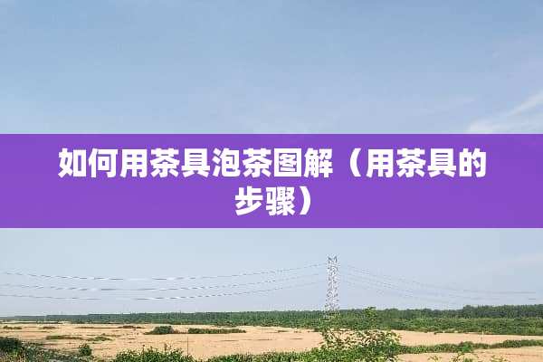 如何用茶具泡茶图解（用茶具的步骤）