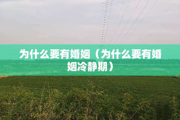 为什么要有婚姻（为什么要有婚姻冷静期）