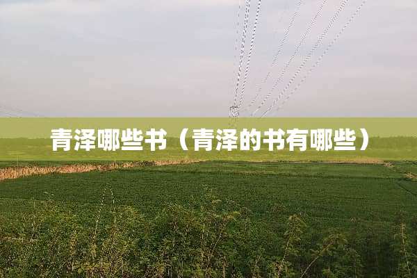 青泽哪些书（青泽的书有哪些）