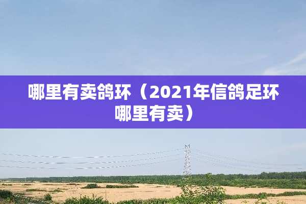 哪里有卖鸽环（2021年信鸽足环哪里有卖）