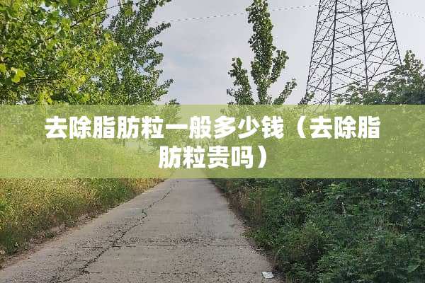 去除脂肪粒一般多少钱（去除脂肪粒贵吗）