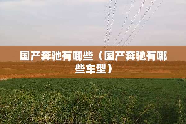 国产奔驰有哪些（国产奔驰有哪些车型）