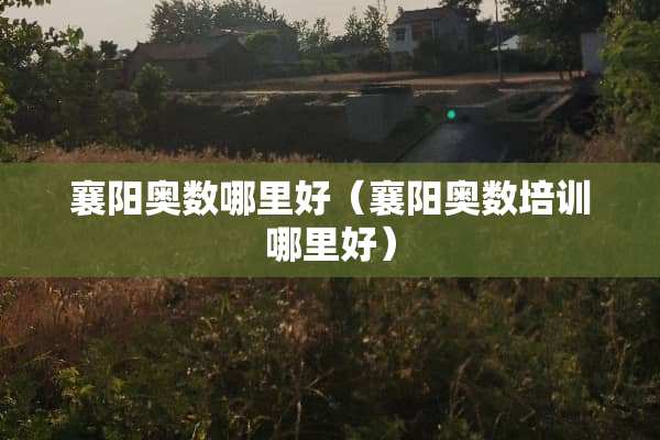 襄阳奥数哪里好（襄阳奥数培训哪里好）
