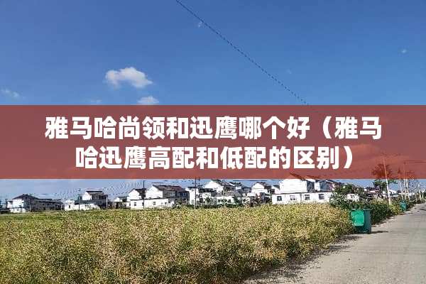 ***尚领和迅鹰哪个好（***迅鹰高配和低配的区别）