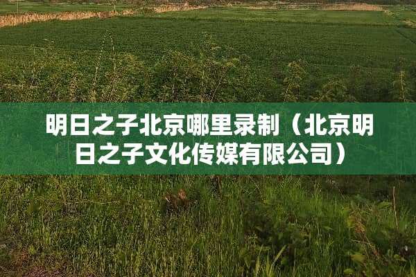 明日之子北京哪里录制（北京明日之子文化传媒有限公司）
