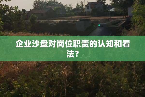 企业沙盘对岗位职责的认知和看法？
