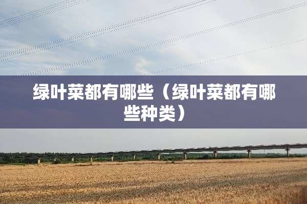 绿叶菜都有哪些（绿叶菜都有哪些种类）