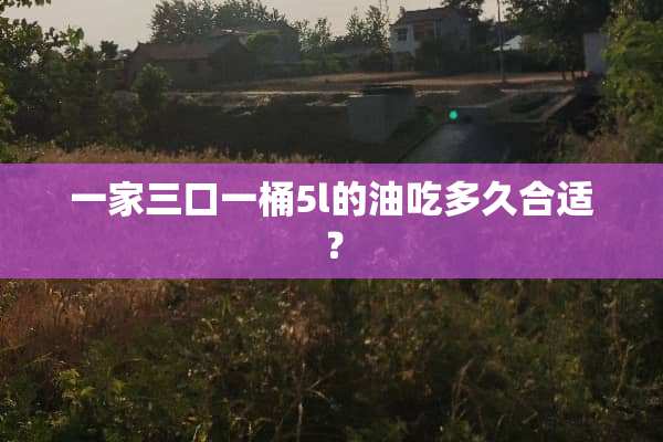 一家三口一桶5l的油吃多久合适？