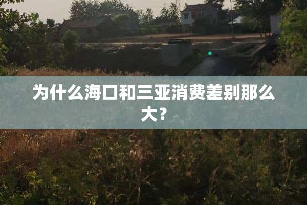 为什么海口和三亚消费差别那么大？