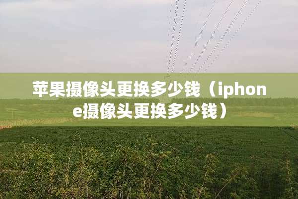 苹果**头更换多少钱（iphone**头更换多少钱）