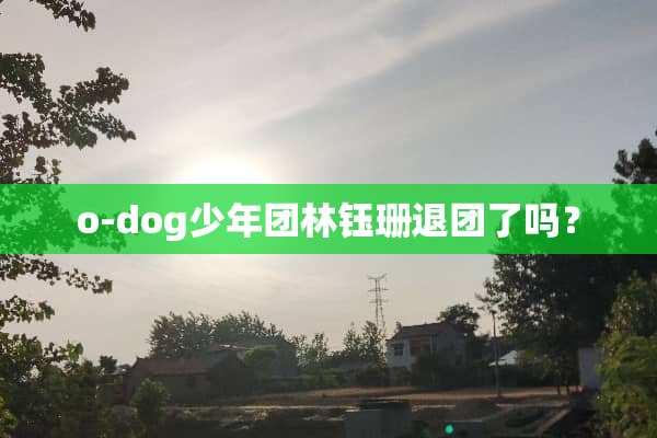 o-dog少年团林钰珊**了吗？