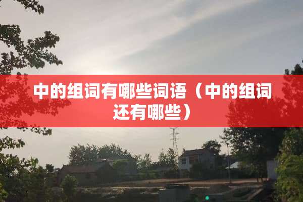 中的组词有哪些词语（中的组词还有哪些）