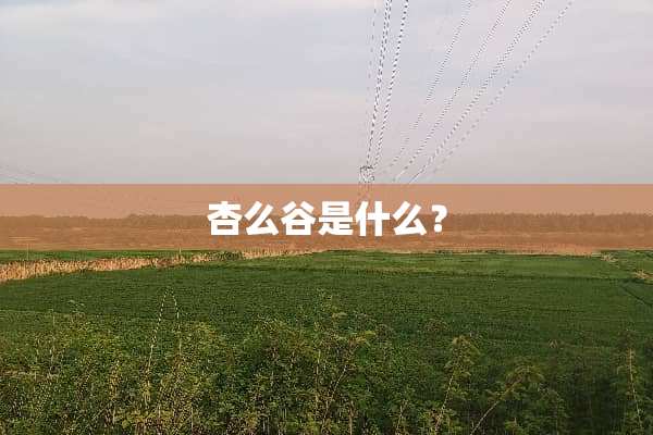 杏么谷是什么？