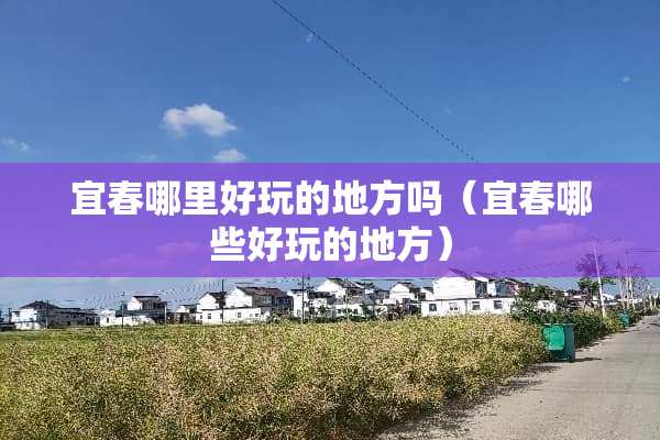 宜春哪里好玩的地方吗（宜春哪些好玩的地方）