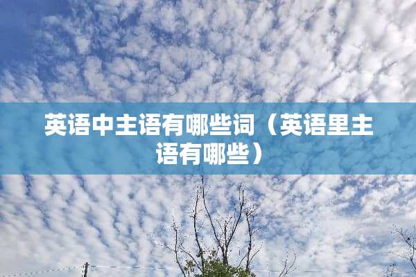 英语中主语有哪些词（英语里主语有哪些）