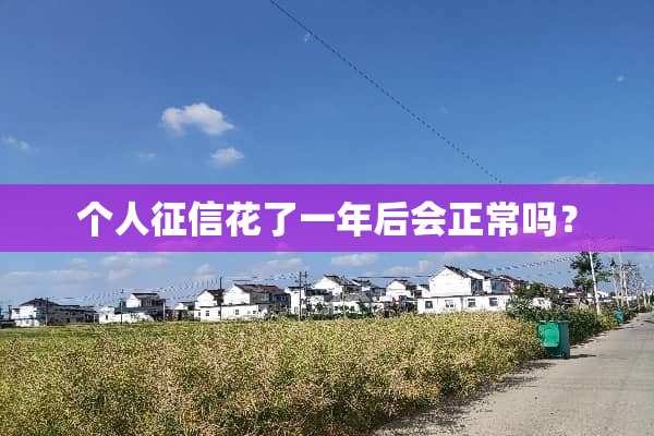 个人征信花了一年后会正常吗？