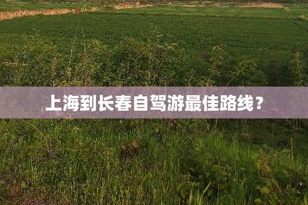 上海到长春自驾游最佳路线？