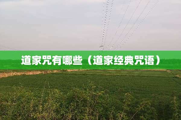 道家咒有哪些（道家经典咒语）