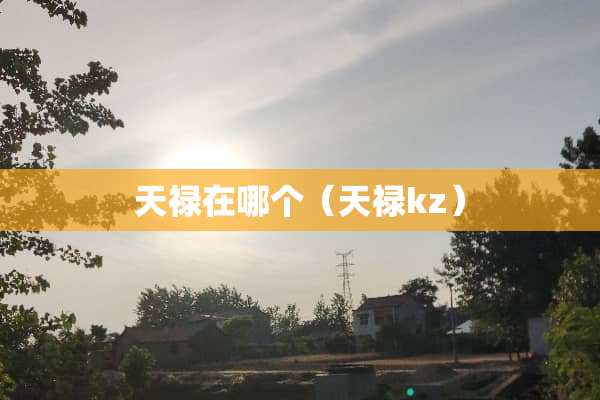 天禄在哪个（天禄kz）