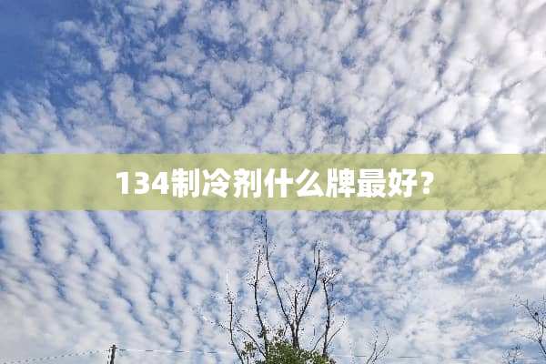 134制冷剂什么牌最好？