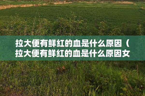 拉大便有鲜红的血是什么原因（拉大便有鲜红的血是什么原因女性）