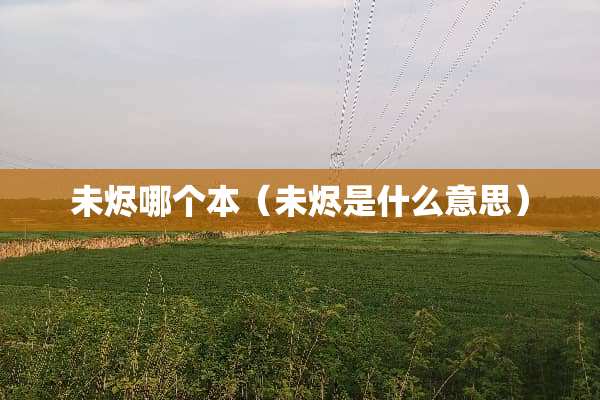 未烬哪个本（未烬是什么意思）