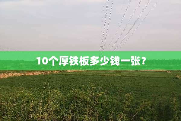 10个厚铁板多少钱一张？