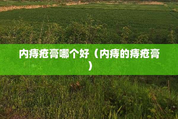 内痔疮膏哪个好（内痔的痔疮膏）