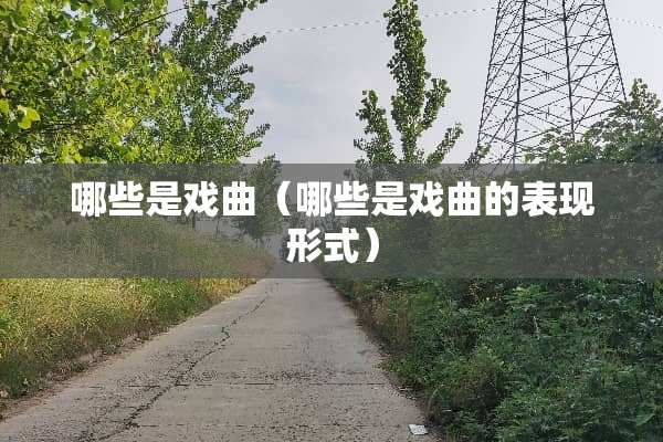 哪些是戏曲（哪些是戏曲的表现形式）