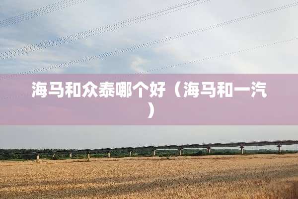 海马和众泰哪个好（海马和一汽）