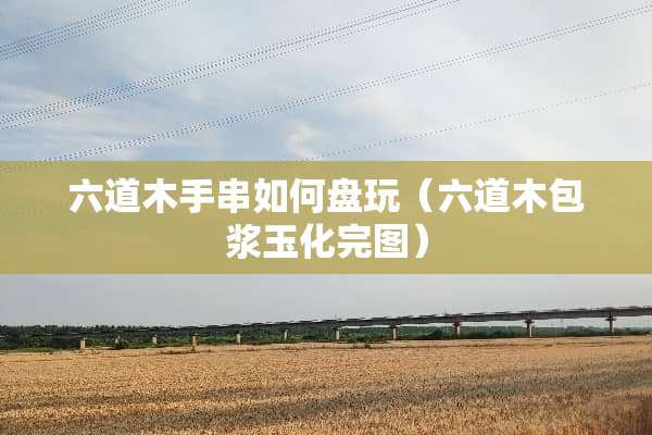 六道木手串如何盘玩（六道木包浆玉化完图）