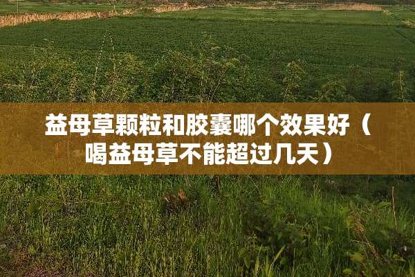 益母草颗粒和胶囊哪个效果好（喝益母草不能超过几天）