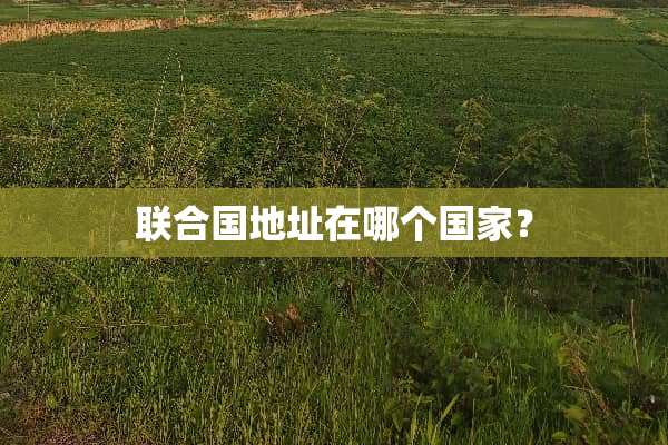 联合国地址在哪个国家？