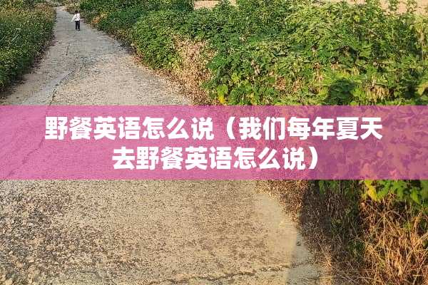野餐英语怎么说（我们每年夏天去野餐英语怎么说）