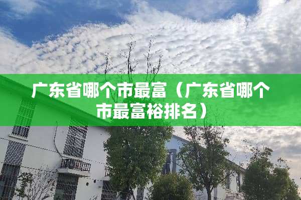 广东省哪个市最富（广东省哪个市最富裕排名）