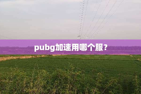 pubg加速用哪个服？