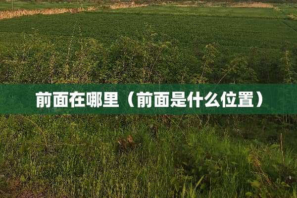 前面在哪里（前面是什么位置）