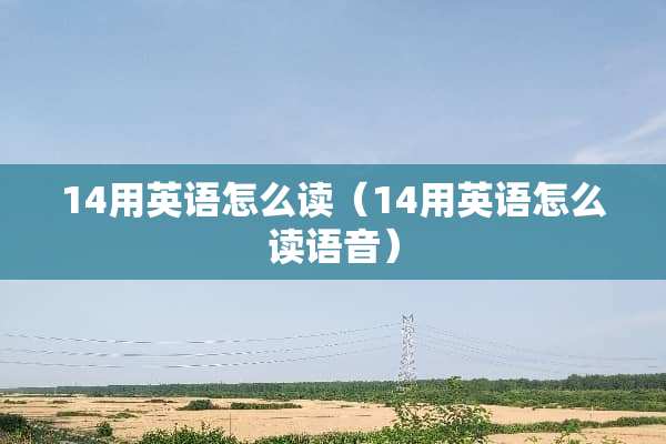 14用英语怎么读（14用英语怎么读语音）