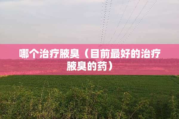 哪个治疗腋臭（目前最好的治疗腋臭的药）
