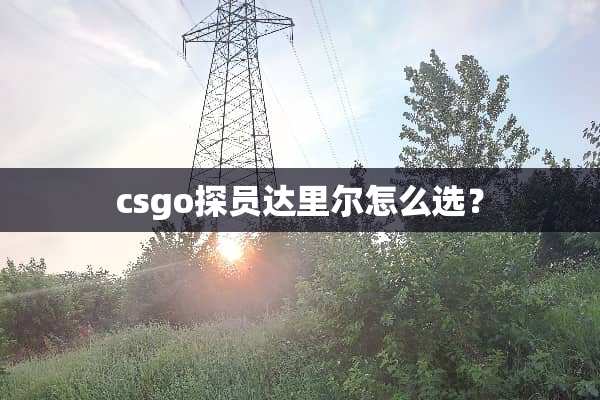 csgo探员达里尔怎么选？