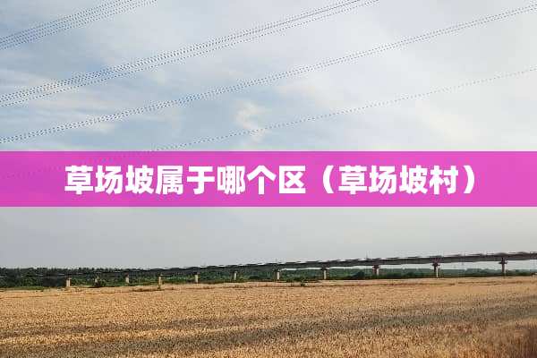 草场坡属于哪个区（草场坡村）